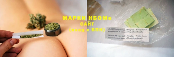 индика Алзамай