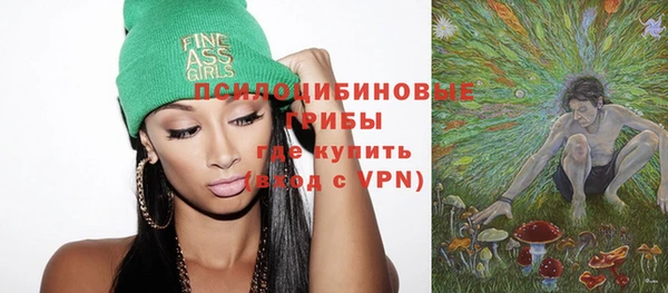 индика Алзамай