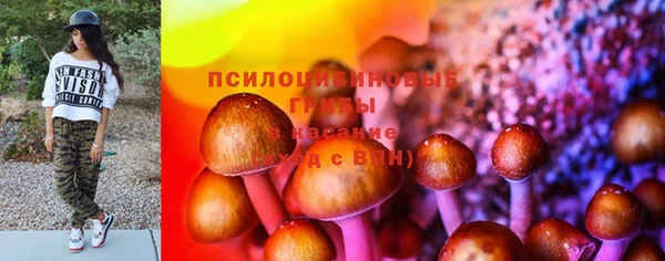 индика Алзамай