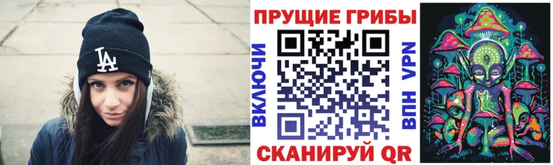 Галлюциногенные грибы прущие грибы  Сыктывкар 